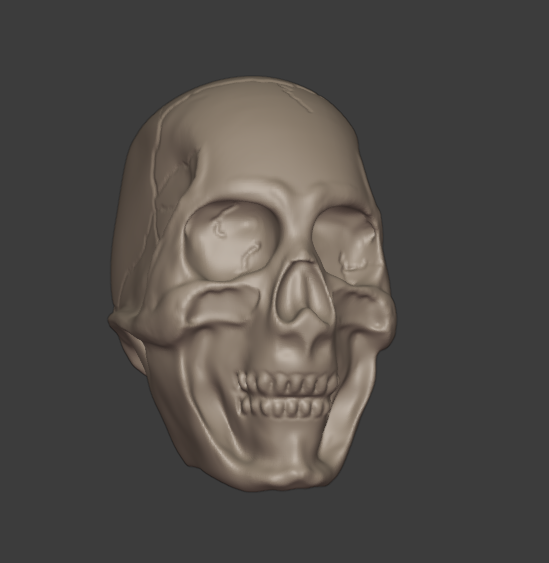 smooth skull